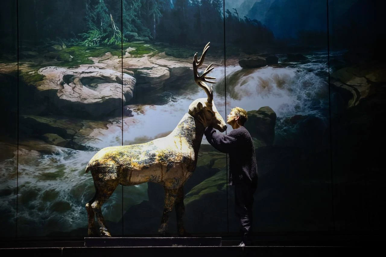 Восьмой выпуск фестивального видеоблога: творческая встреча и «Биография из леса»